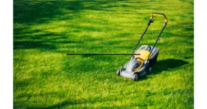 What Is the Best Self-Propelled Lawn Mower?
