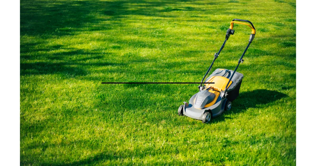What Is the Best Self-Propelled Lawn Mower?