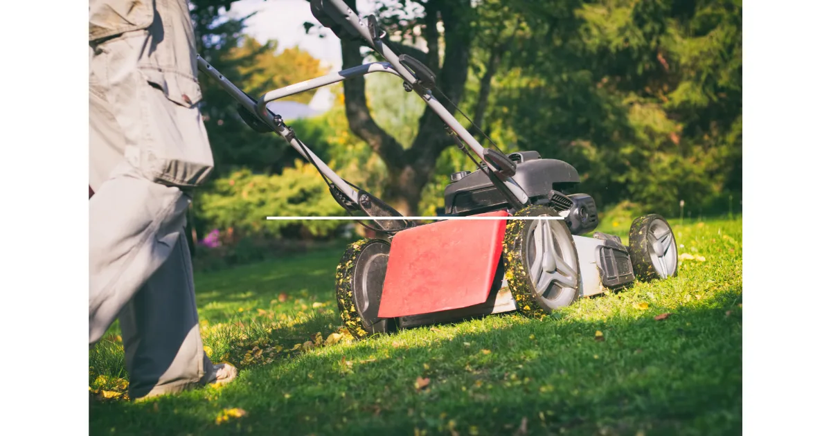 Is a Mulching Mower Better for Your Lawn?