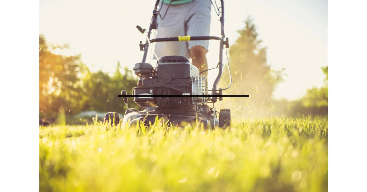 What Mower Is Best for Mulching Leaves?